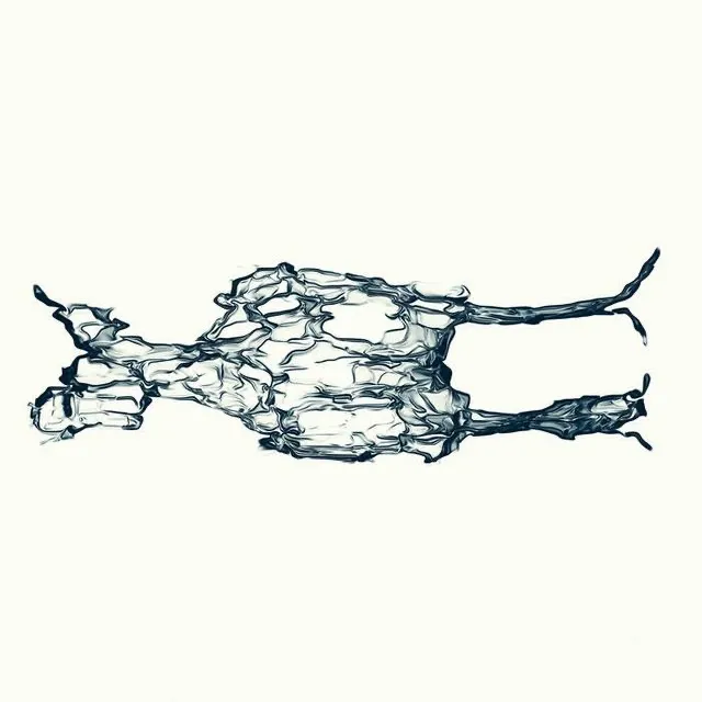 Niels Orens, Make Null and Void