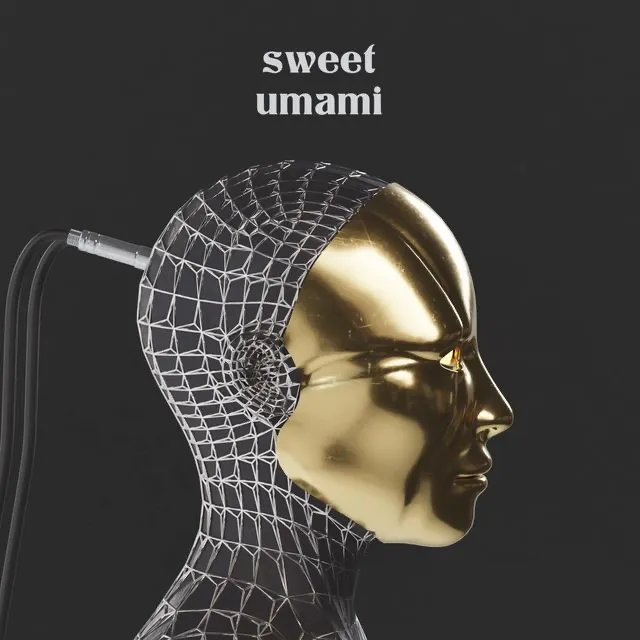 Sweet Umami, Adaptor